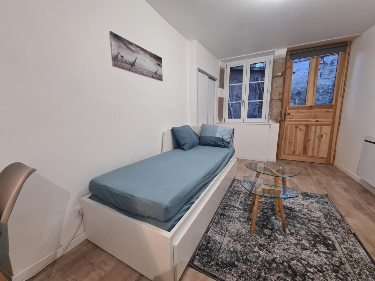 Hebergeneve : Aux Pieds Du Chateau Gex Exterior foto
